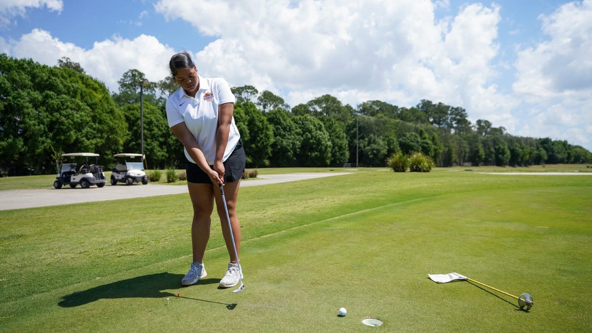 Birdies for Charity Helpful Hints